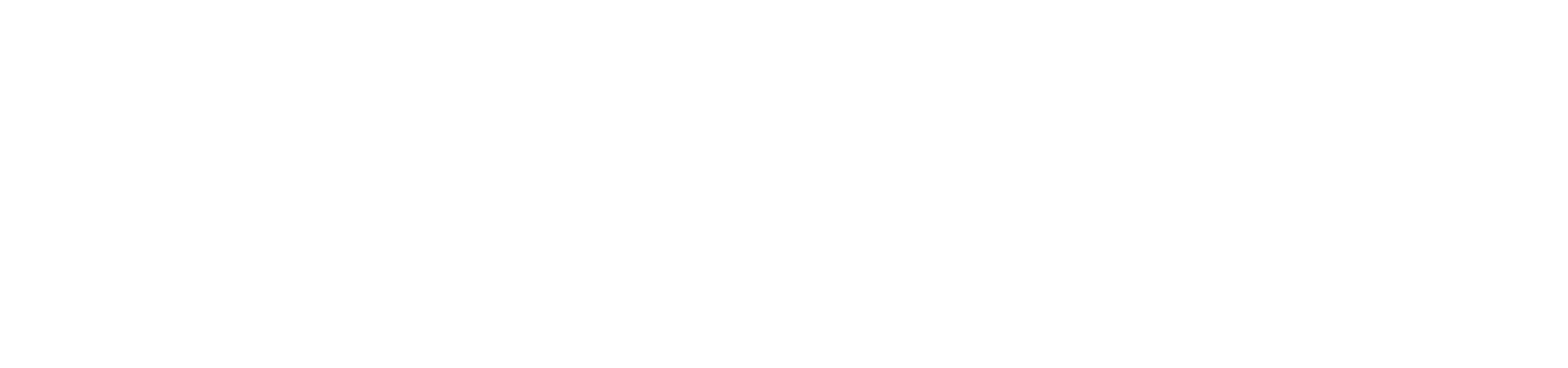 Logo di setonix, partner tecnico di StillGame